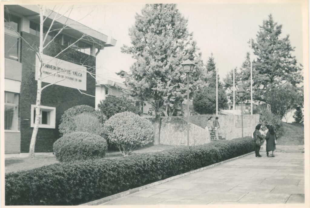  Stecher, Ruiz (s.f). [791]. Archivo Francisco Stecher Ruiz, Centro de Documentación Patrimonial, Universidad de Talca.

